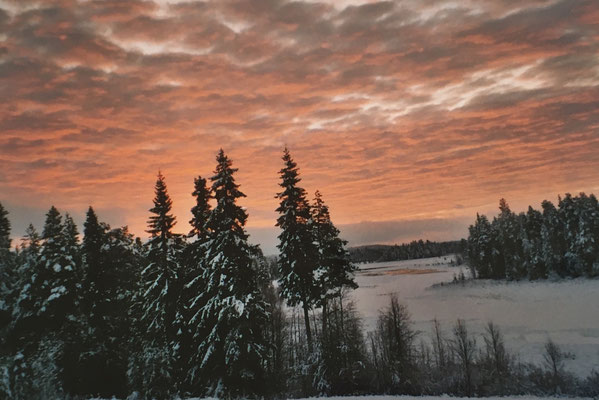 winterstimmung-lappland