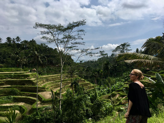 ubud-tegallalang-reisterrassen