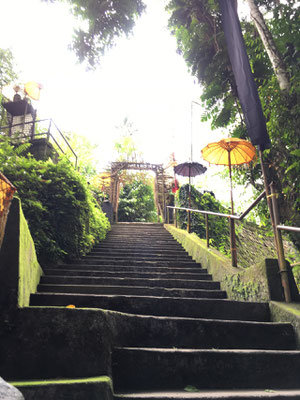 kampo-lampo-treppe