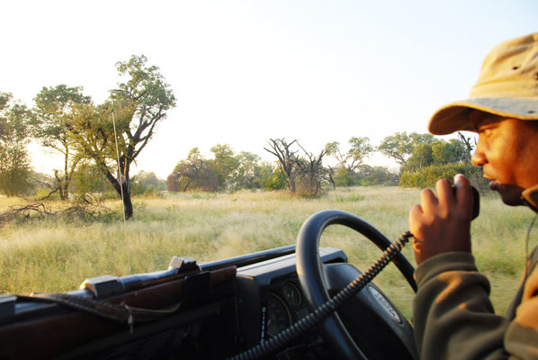 sabi-sand-safari