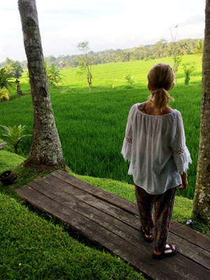 morgenstimmung-reisfeld-ubud