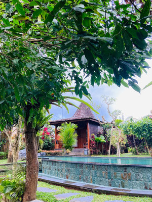 mirah-guest-house