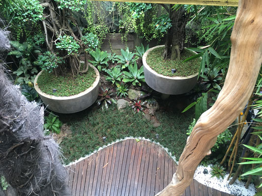 bail-ubud-clear-cafe