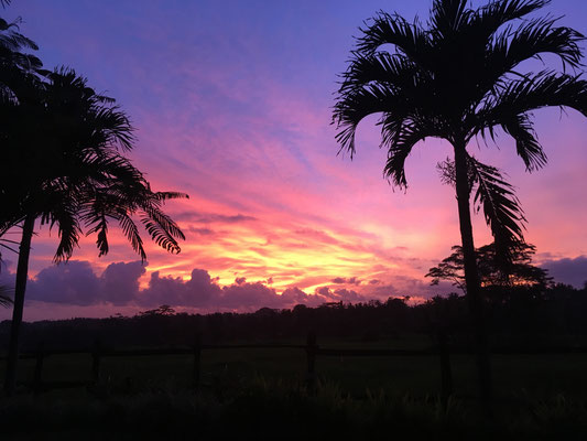 sonnenuntergang-ohma-apik-ubud