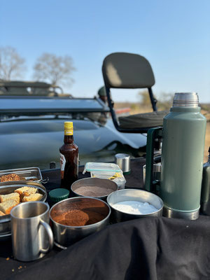 safari-sabi-sands