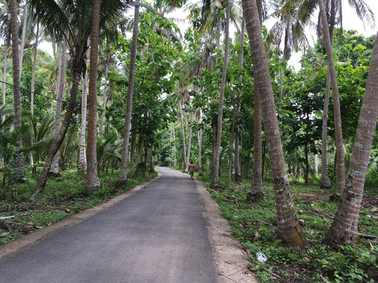 nusa-penida-weg-nach-penida