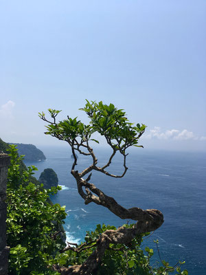 banah-cliff-point-aussicht