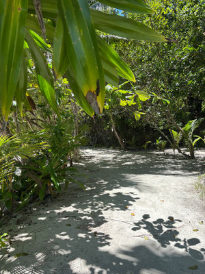 katembe-raja-ampat