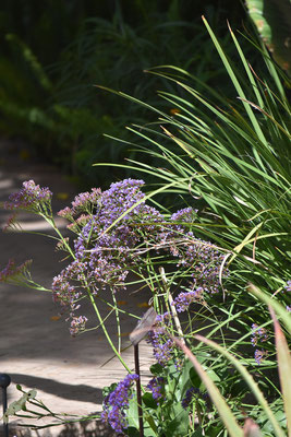 le-jardin-secret