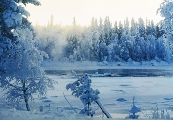 lappland-winter