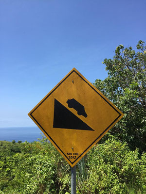strassenscild-nusa-penida