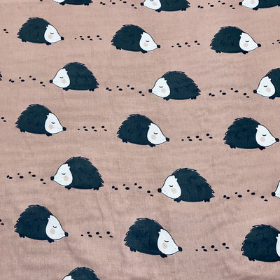 Hedgehogs