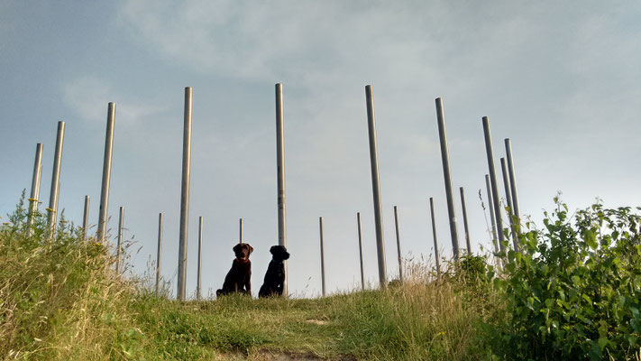 Toni und Finch: Eroberung der Sonnenuhr