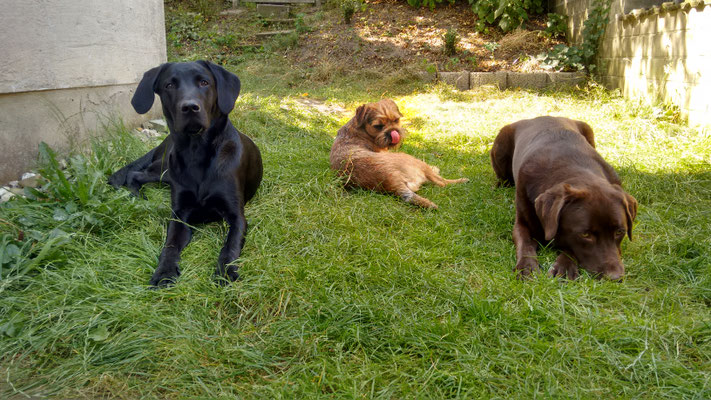 Chillen im Garten.