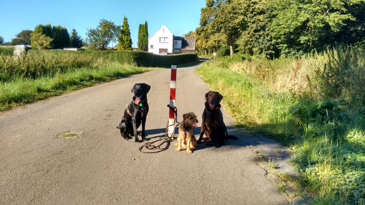 Posierend pausieren.
