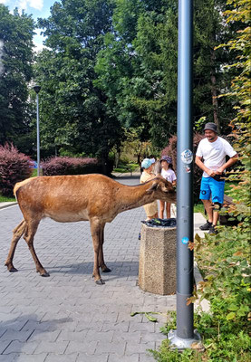 Fotos de Zakopane