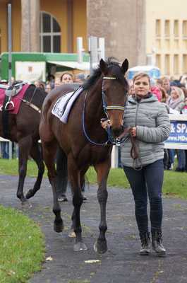 Miss Manja im Führring