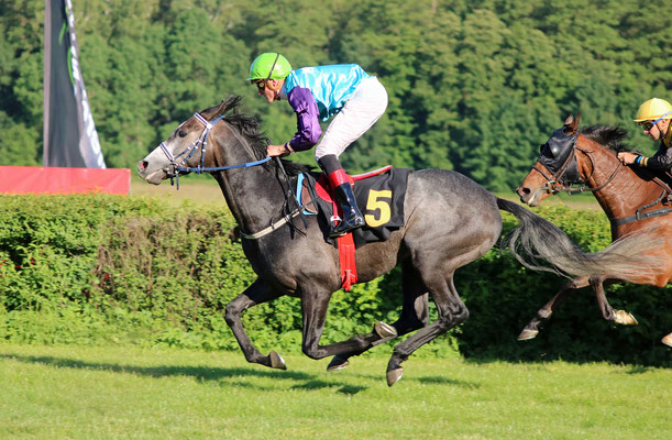 Vermentino beim Aufgalopp