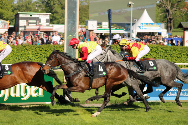 Fritz und Fine Girl im Rennen 