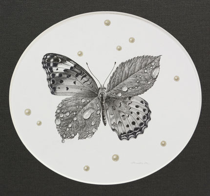 2024→ - ／森 天飛