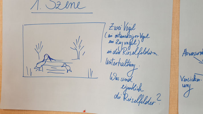 Trickfilm, Schüler, Rieselfelder, Naturschutz