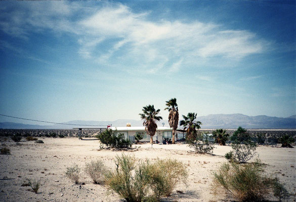 29 Palms #6