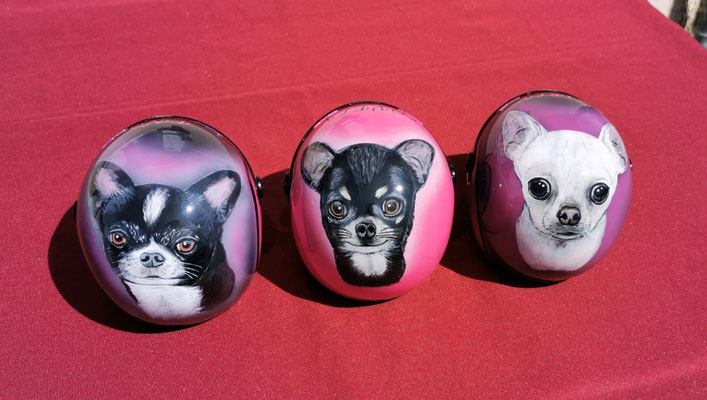 Portraits de 3 chiens à partir de photos