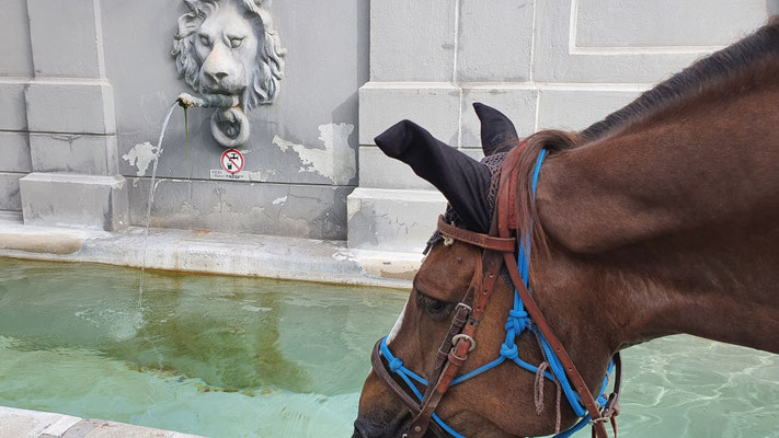 Die Dörfer waren voll mit wunderschönen Brunnen