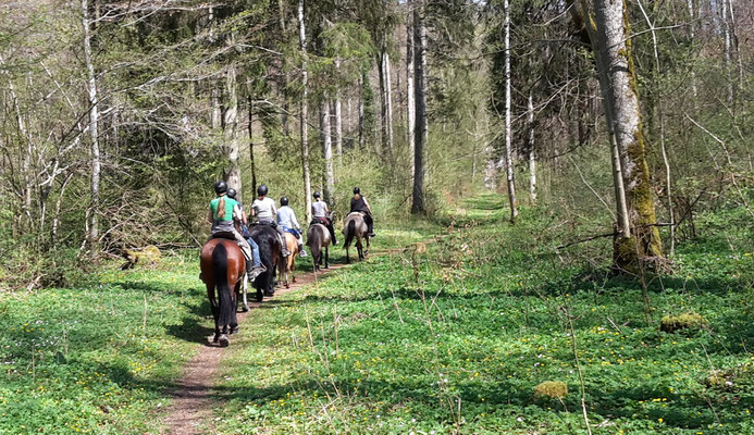 Durchs Wasserburgtal