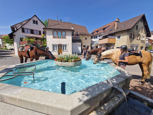 Wasser ist Gold wert :-)