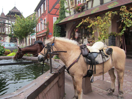 Erfrischung an einem Brunnen im Elsass