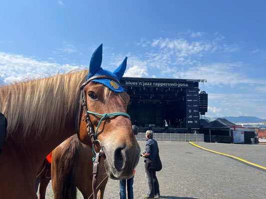 und kommen in den Soundcheck eines Openair-Konzertes. Alles nicht das kleinste Problem. Wartepause bis die Misthaufen zufriedenstellend entfernt sind.