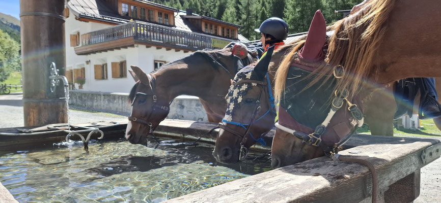 Unsere Freunde am Brunnen