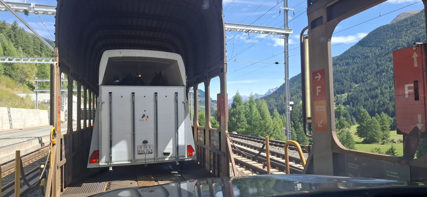 Und durch den Tunnel ins Flachland zurück... Wunderschön war's! Einmal mehr unvergessliche Tage mit unseren Pferdefreunden!