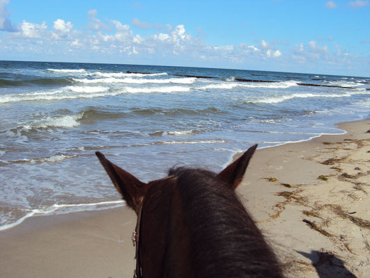 an der Ostsee