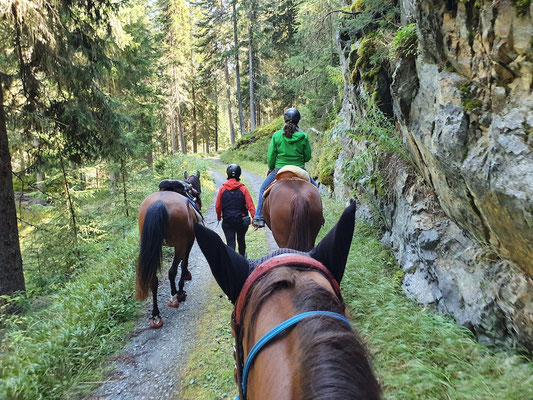 Im Märchenwald oberhalb Susch (und der Name stimmt: alles voll Moos und reifer Preiselbeeren)
