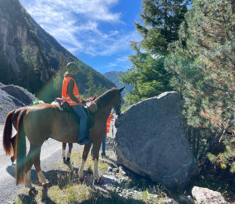 An die vielen grossen Steine mussten sich unsere Pferde erst gewöhnen. Und da berührt es umso mehr, wie sie einfach mit uns durch eine neue Gegend wandern.
