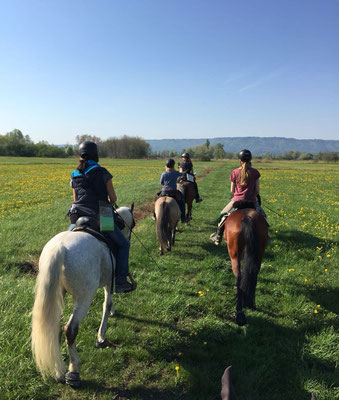 Auf Wiesenwegen