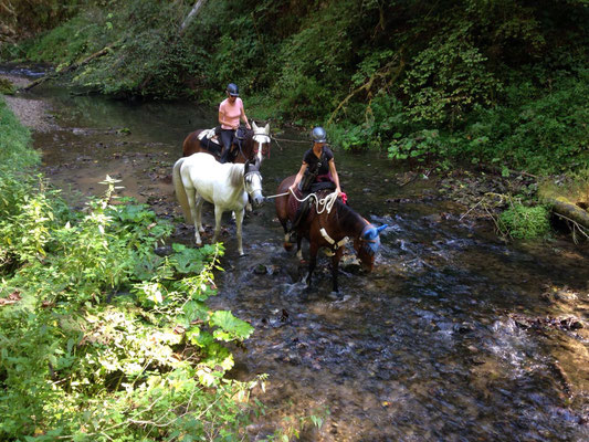 durch die Gauchachschlucht