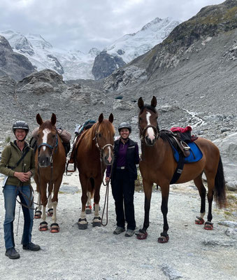 Wo uns die Reise überall hinbringt!