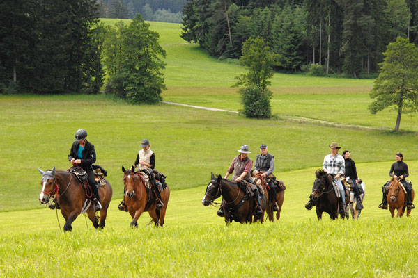 Allgäu zu Pferd