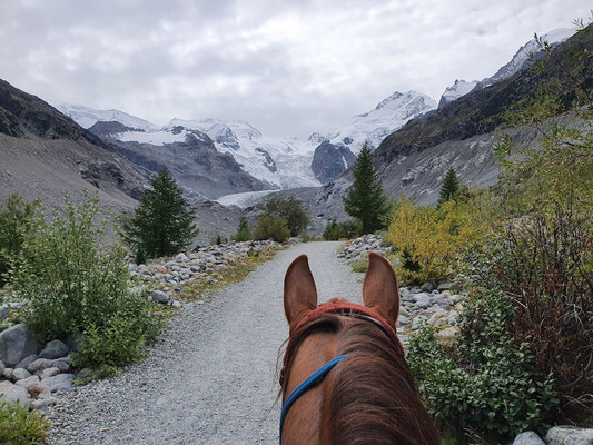 Auf dem Weg zum Morteratsch-Gletscher werden wir still - das grosse Eis ist zu majestätisch