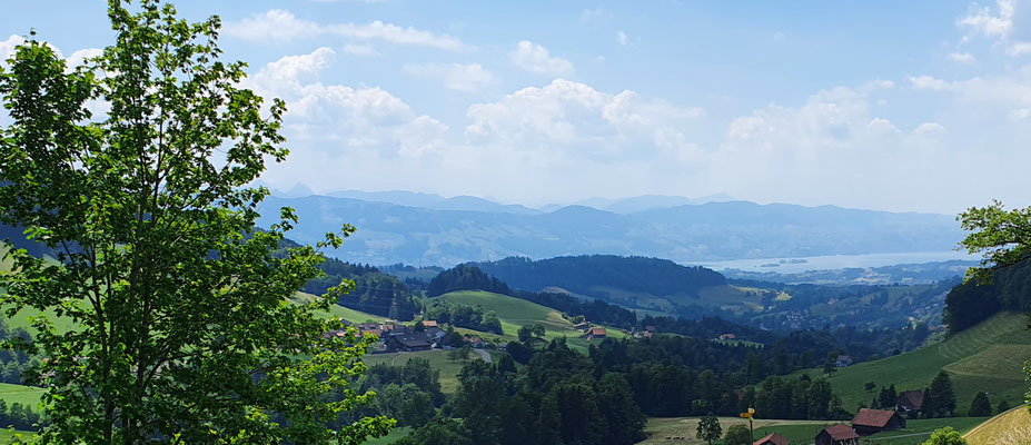 Sicht auf den Zürichsee und den Etzel und die wunderschöne Schweiz