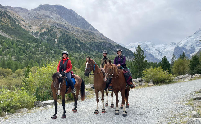 Unglaublich, wie sich die Vegetation auf knapp 2 km von Steinwüste zu jungem Lärchenwald verwandelt