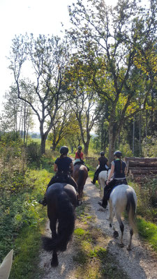 Leuchtender Herbst