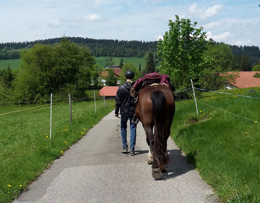 abwärts zu Fuss