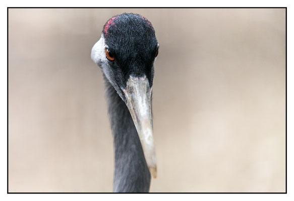 Tierpark Schmiding