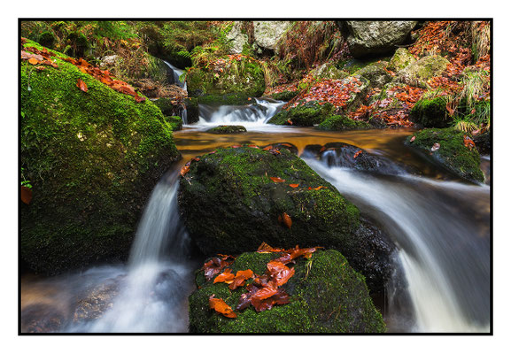 Ysperklamm