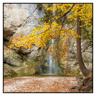 Wildkarwasserfall - Herbst 2025