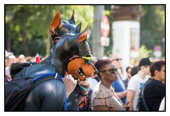 Regenbogenparade Wien 2025